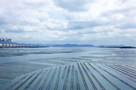 gyeongsangnam-do-parc-huitres-coree-du-sud