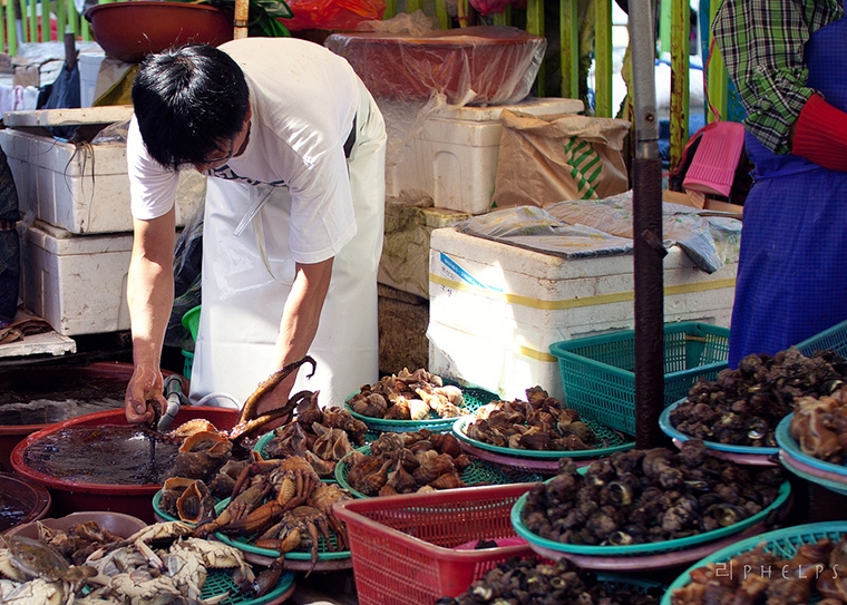 marche-fruits-de-mer-jagalchi-busan