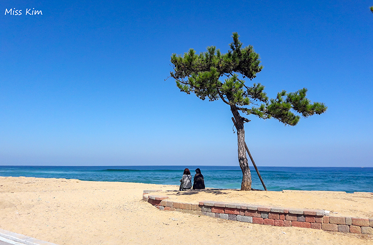 Gangneung Jeongdongjin beach