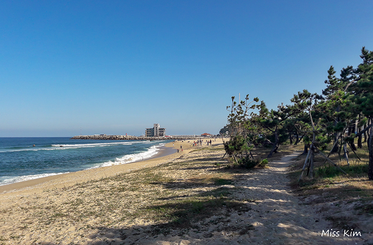 Anmok Beach à Gangneung