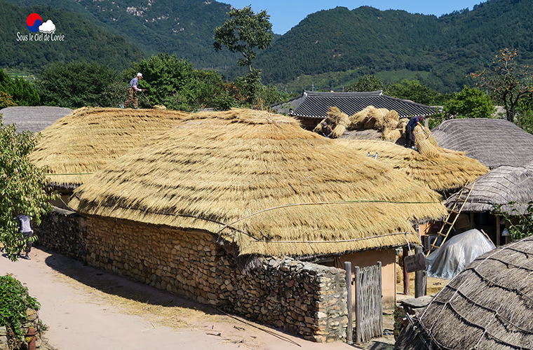 Des artisans réparent les toits de chaume des hanok de Naganeupseong