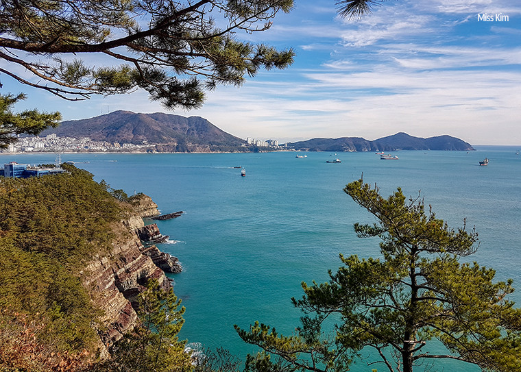 Annam Park à Busan