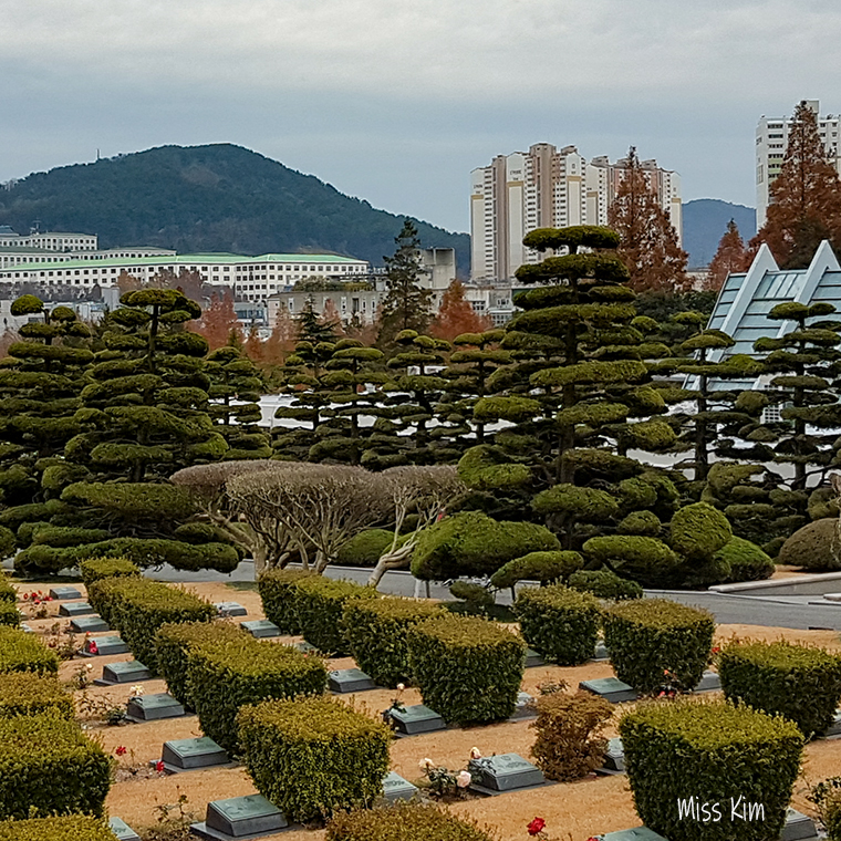 Cimetière du Mémorial des Nations Unies à Busan