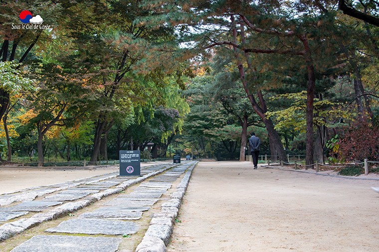 Le chemin des esprits, sanctuaire Jongmyo à Séoul