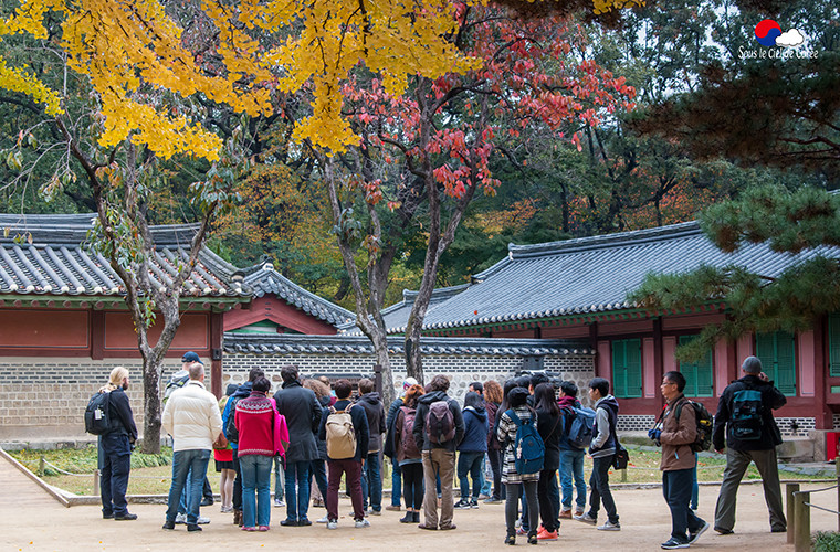 Visite guidée au sanctuaire de Jongmyo, à Séoul.