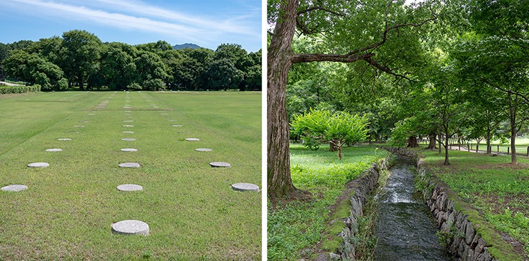 Gyeongju-foret-Gyerim