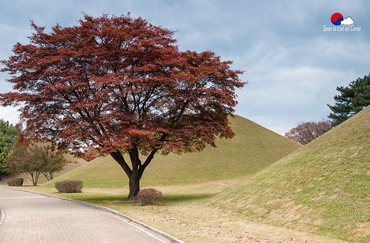 Gyeongju-tumuli-Daereungwon