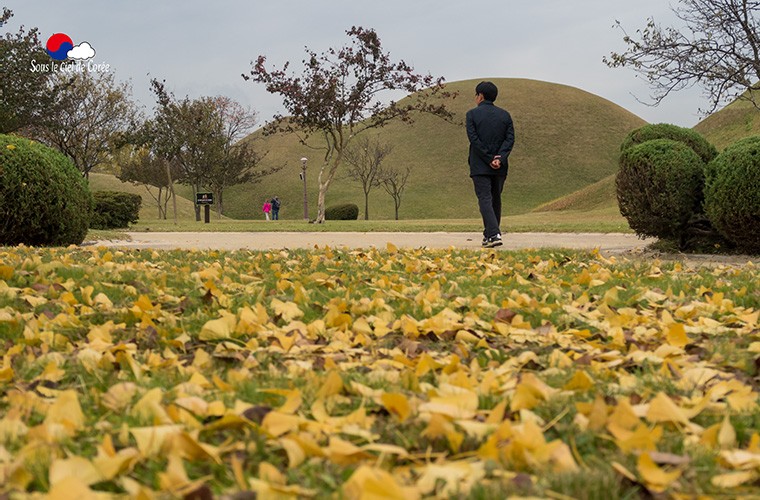 Gyeongju-tumuli-Daereungwon