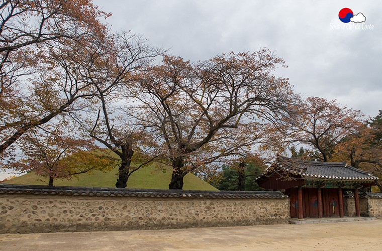 Gyeongju-tombe-roi-Michu