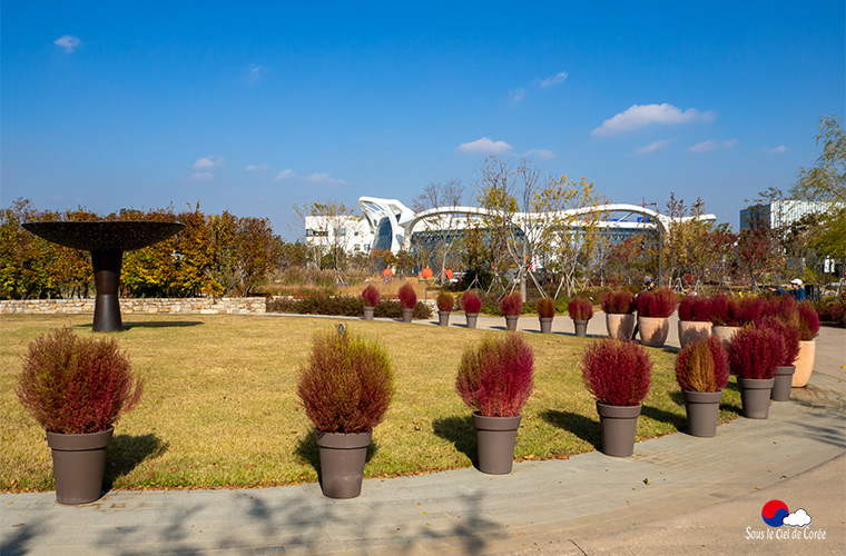 Parc botanique de Séoul automne 2019