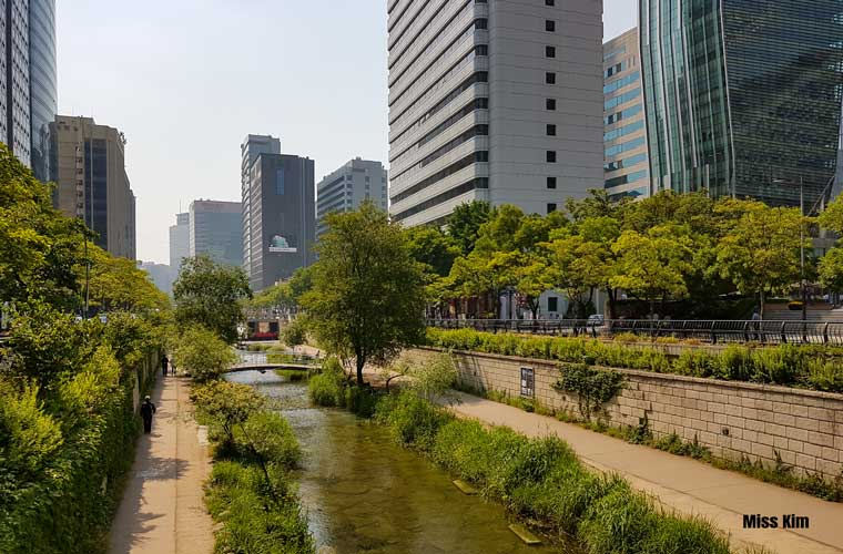 Le site de la rivière Cheonggyecheon à Séoul, en plein été.