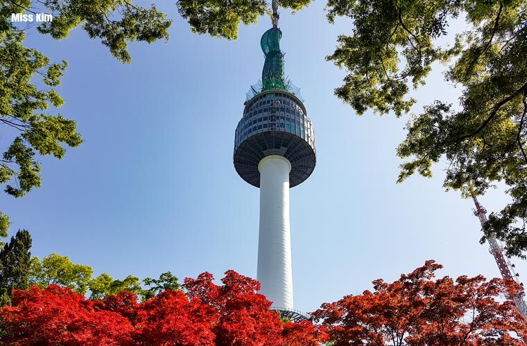 La tour Namsan entourée des feuillages rouges d'automne