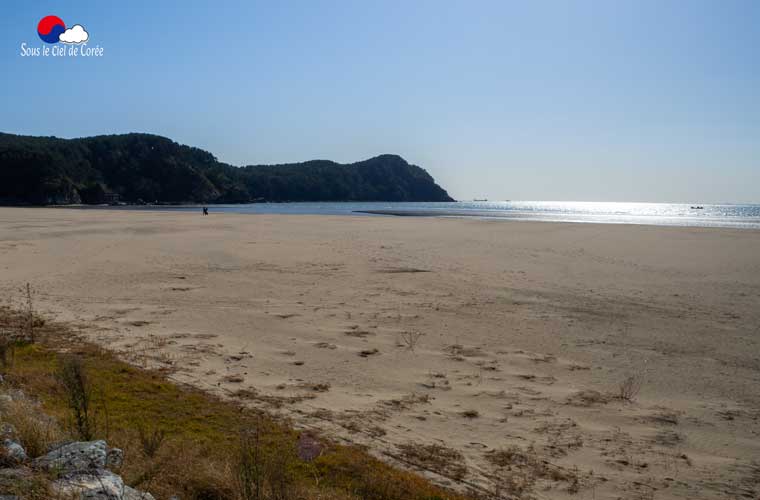 Plage de Dadaepo à Busan