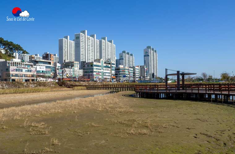 Sentier écologique Gouin, plage de Dadaepo à Busan