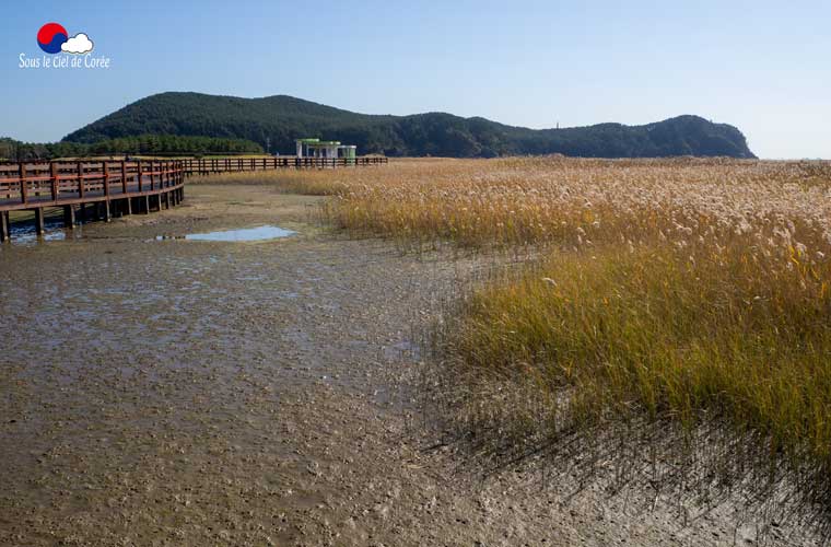 Sentier écologique Gouin, plage de Dadaepo à Busan