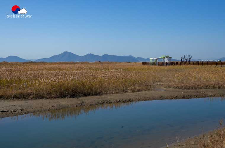 Sentier écologique Gouin, plage de Dadaepo à Busan