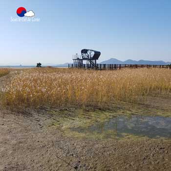 Sentier écologique Gouin, plage de Dadaepo à Busan