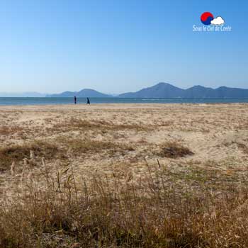 Sentier écologique Gouin, plage de Dadaepo à Busan