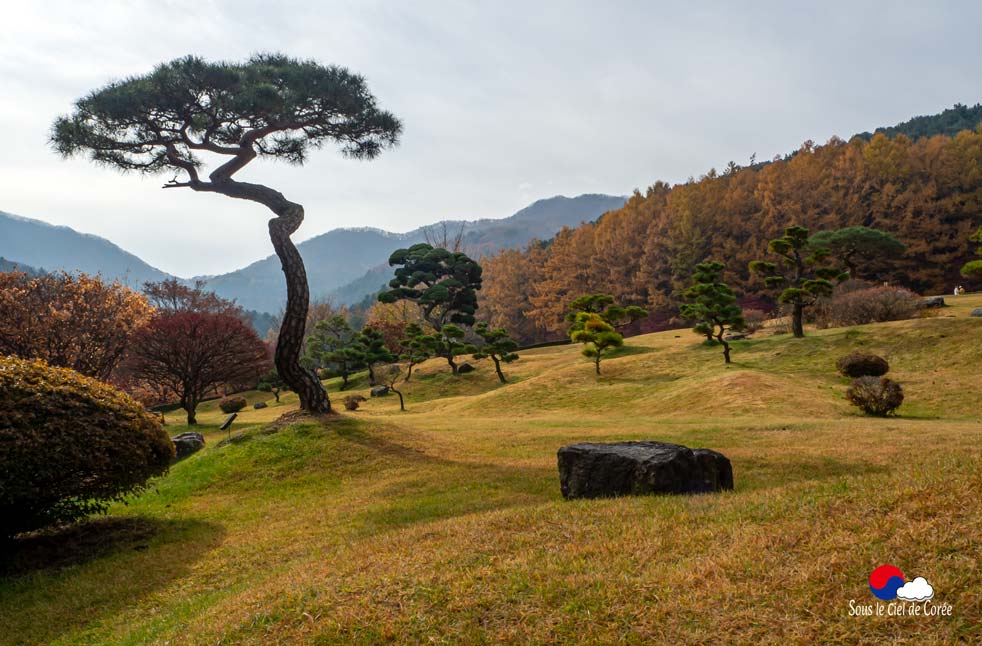 Colline du Jardin du Matin calme en Corée du Sud