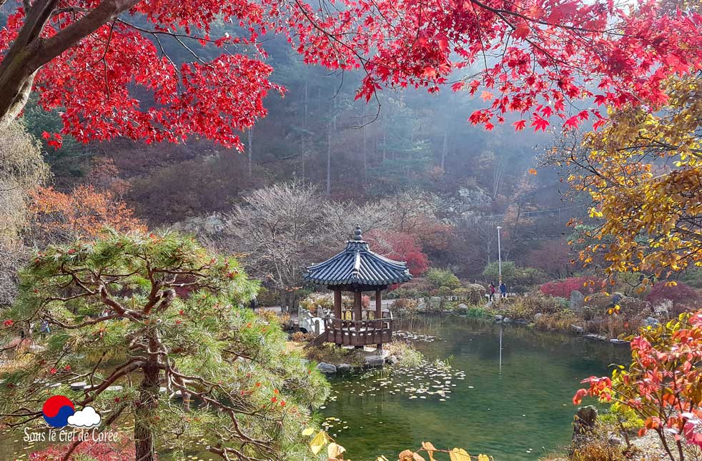 Jardin de l'étang et son pavillon traditionnel coréen au Jardin du Matin calme en Corée du Sud