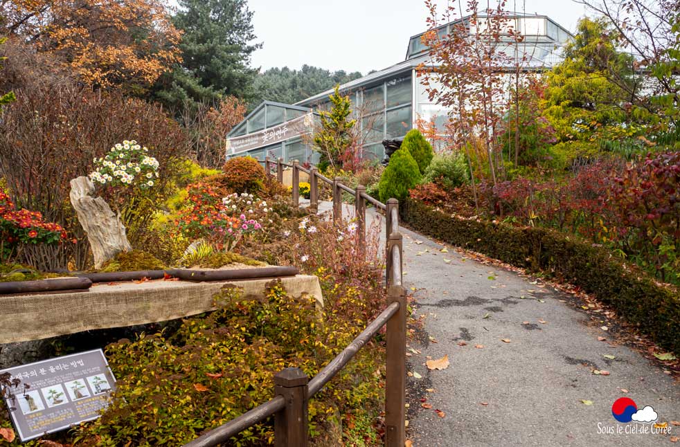 La Maison alpine du Jardin du Matin calme en Corée du Sud