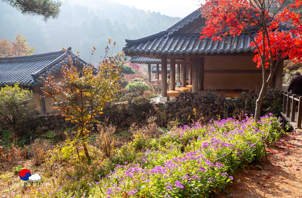 Maison coréenne du Jardin du Matin calme en Corée du Sud