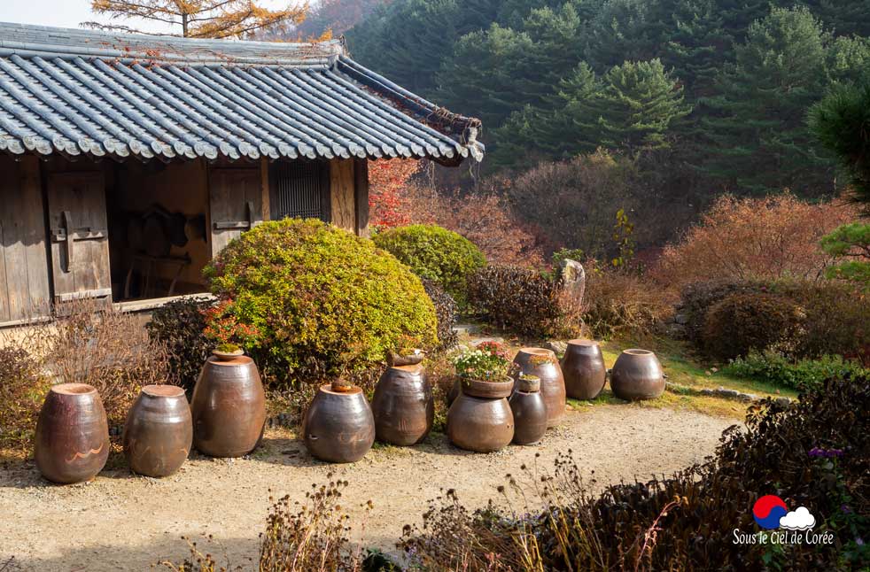 Maison coréenne du Jardin du Matin calme en Corée du Sud