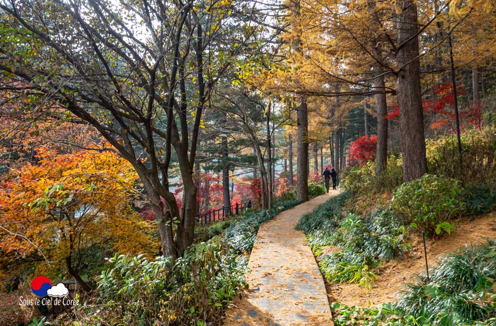 La promenade du Jardin du Matin calme en Corée du Sud
