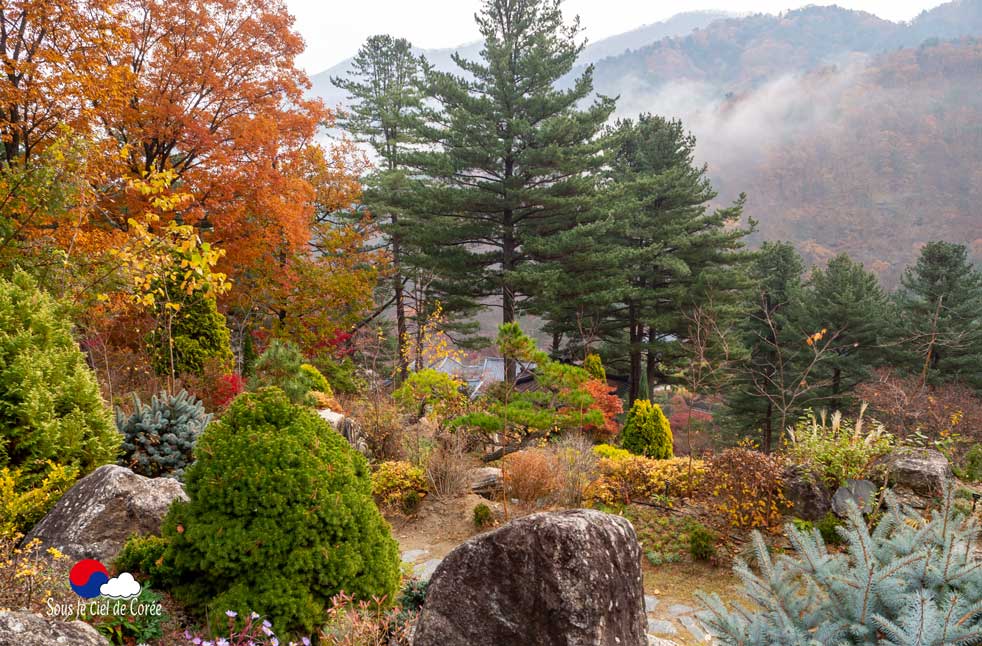 Jardin de rocaille de plantes alpines au Jardin du Matin calme en Corée du Sud