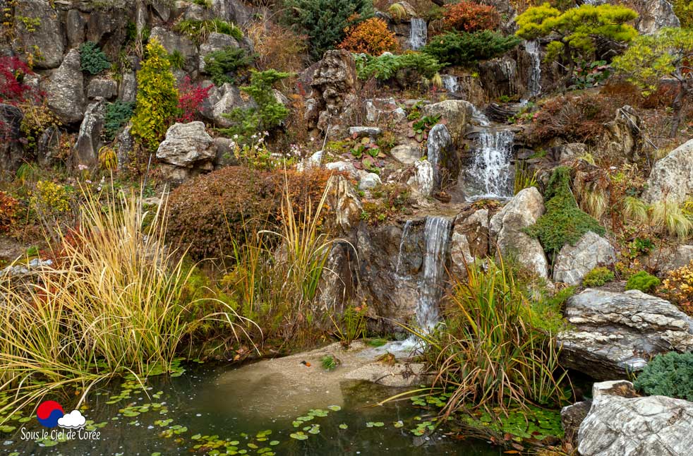 Jardin de rocaille de plantes alpines au Jardin du Matin calme en Corée du Sud