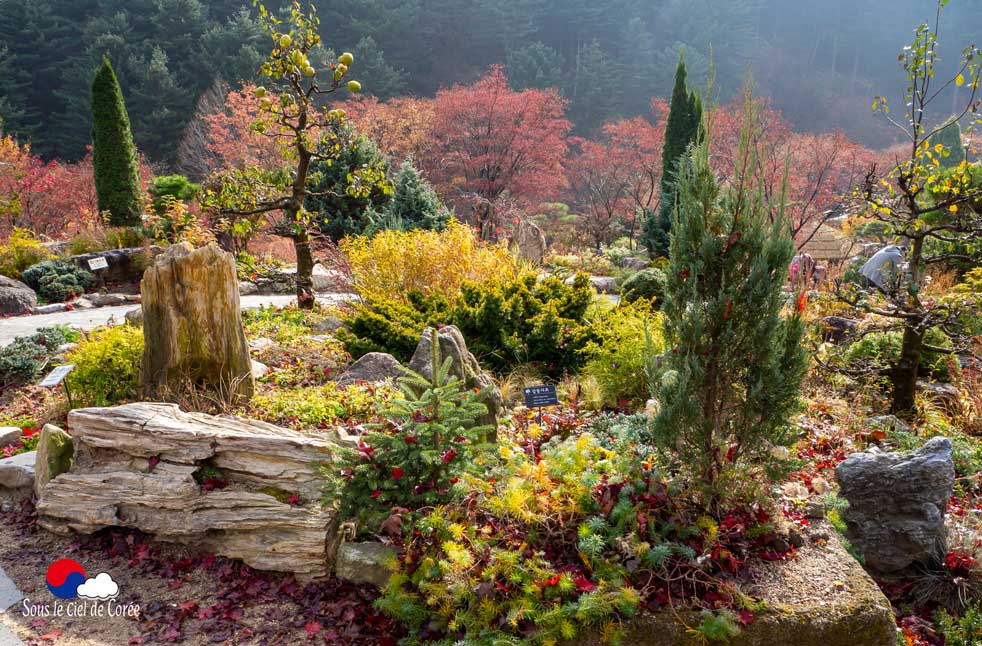 Jardin du Matin calme en Corée du Sud