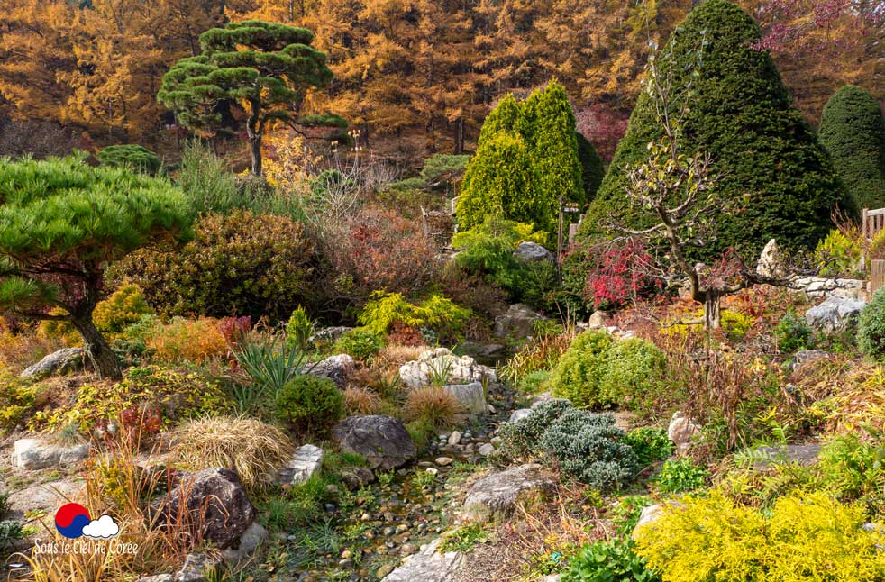 Jardin du Matin calme en Corée du Sud