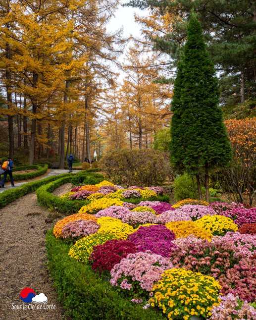 La route pour le Paradis au Jardin du matin calme en Corée du Sud