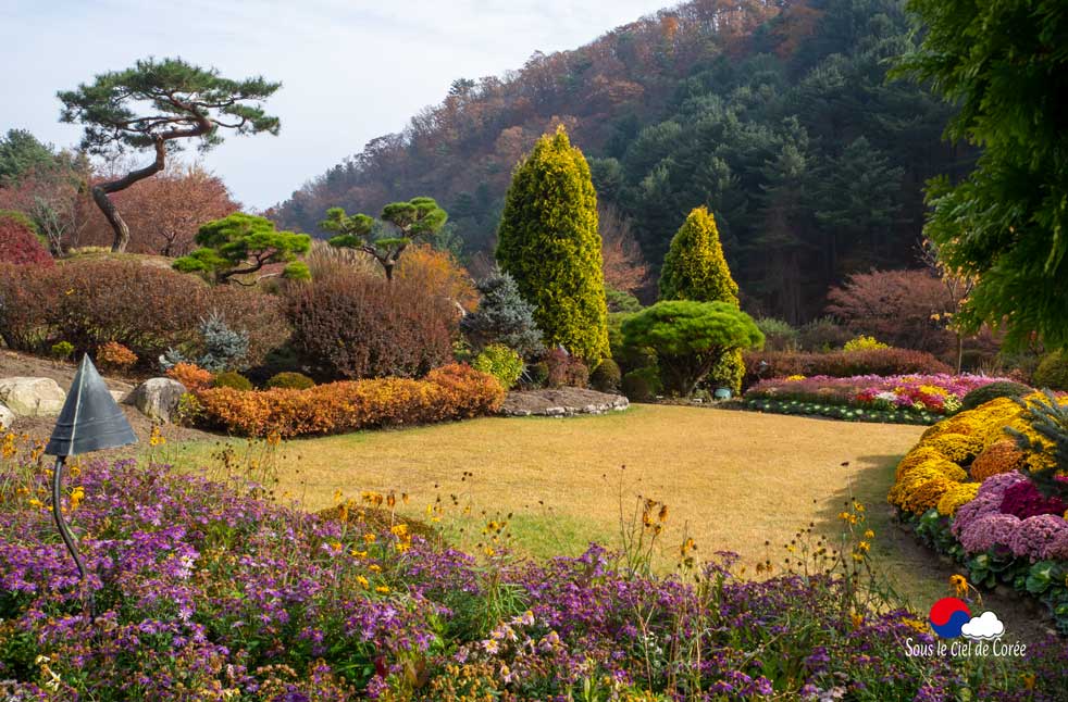 Jardin du Matin calme en Corée du Sud
