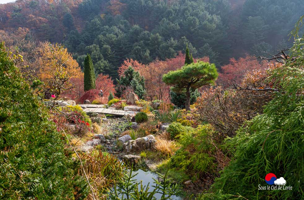 Jardin du Matin calme en Corée du Sud