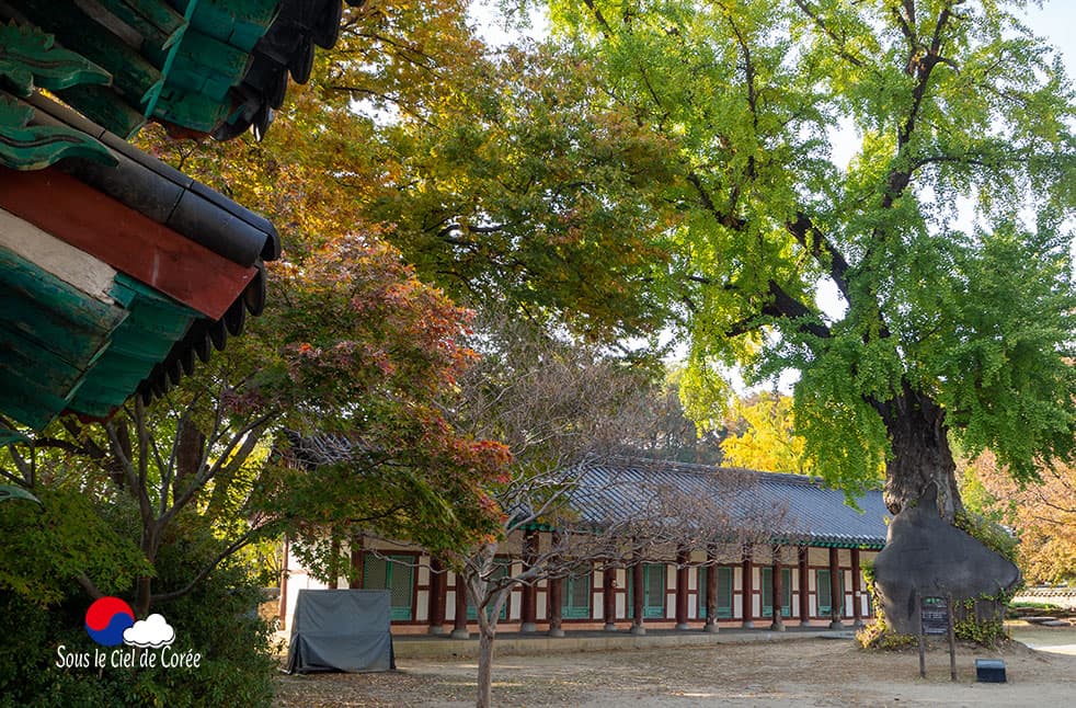 Le sanctuaire Daeseongjeon de l'école confucéenne Jeonjy Hyanggyo