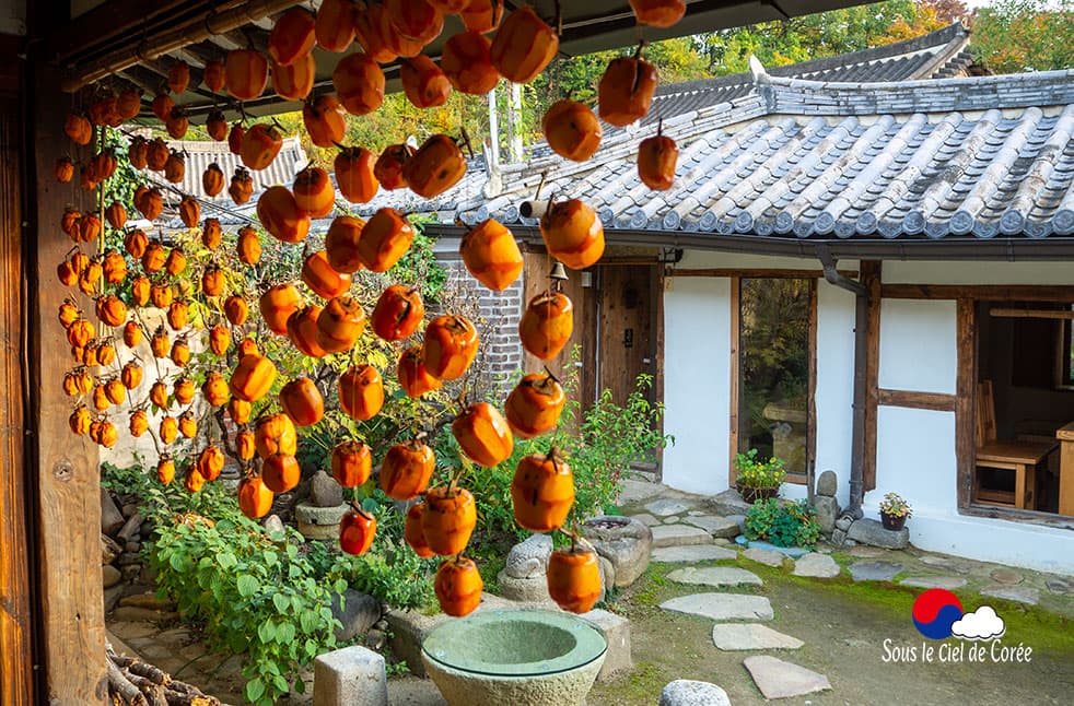 Kakis séchés dans la maison de thé traditionnelle coréenne de Gyodong Dawon à Jeonju