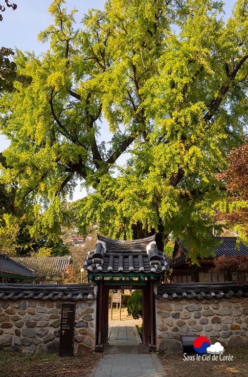 Ecole confucéenne Jeonju Hyanggyo