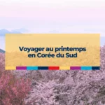 Voyager au printemps en Corée du Sud