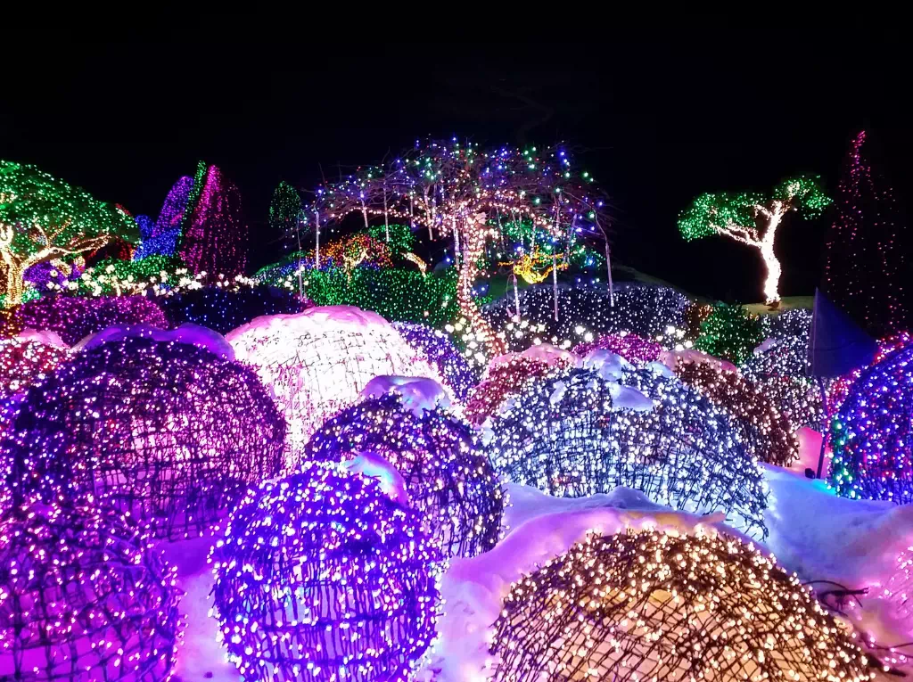 Illuminations noctrunes du Jardin du matin calme en Corée du Sud